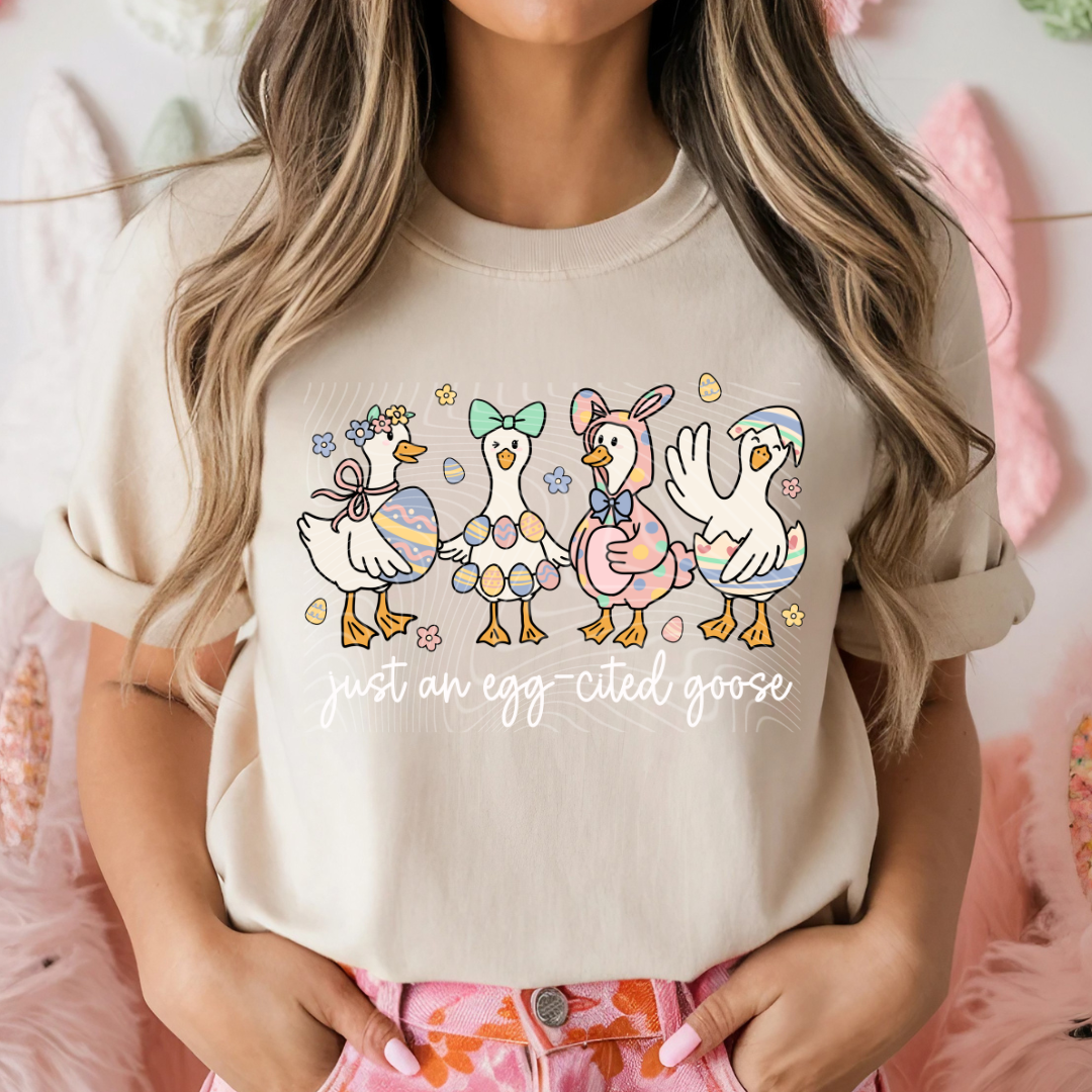 Egg-cited Goose DTF