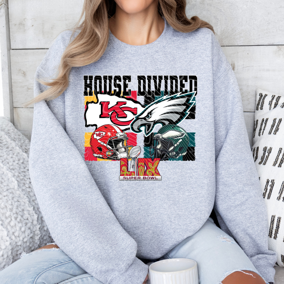 FB House Divided DTF