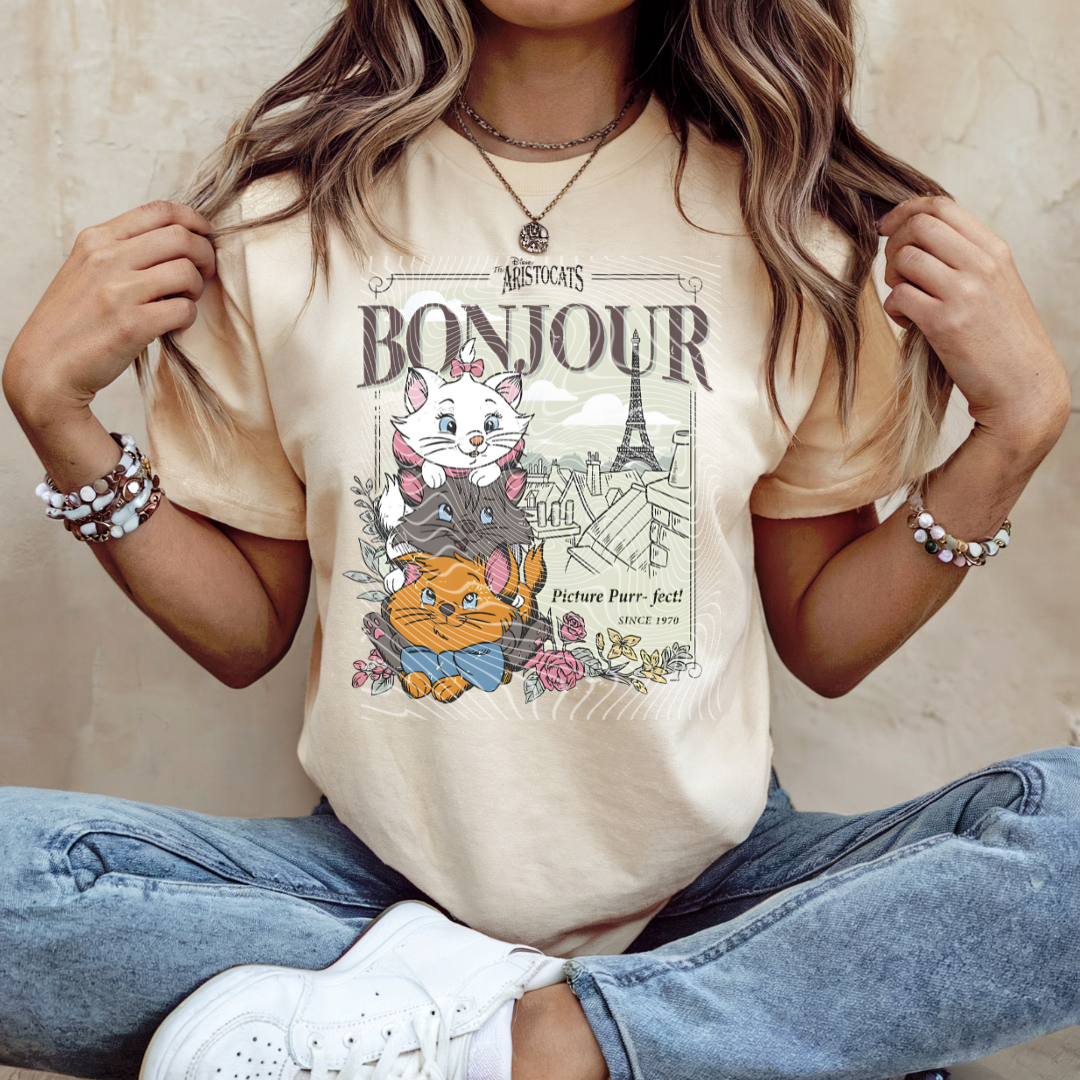Bonjour Cats DTF