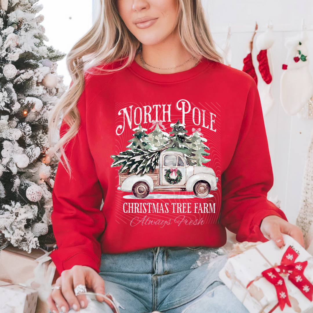 North Pole DTF